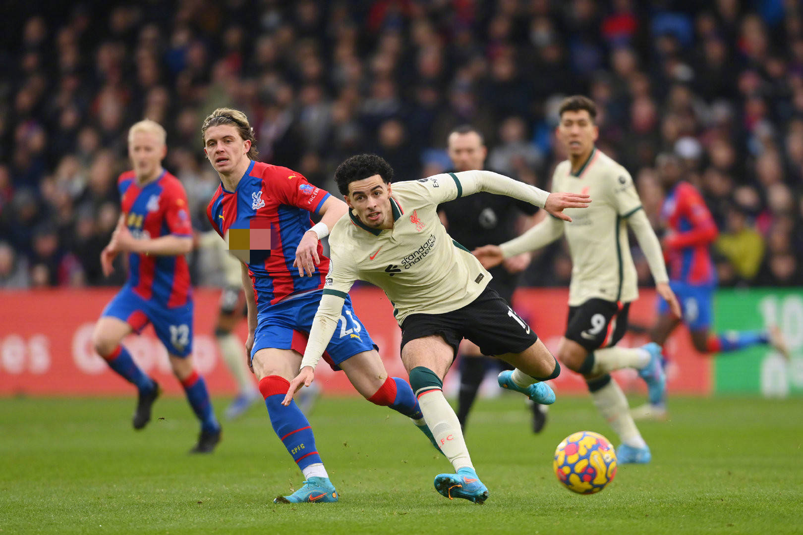 也是球迷们 也是球迷们