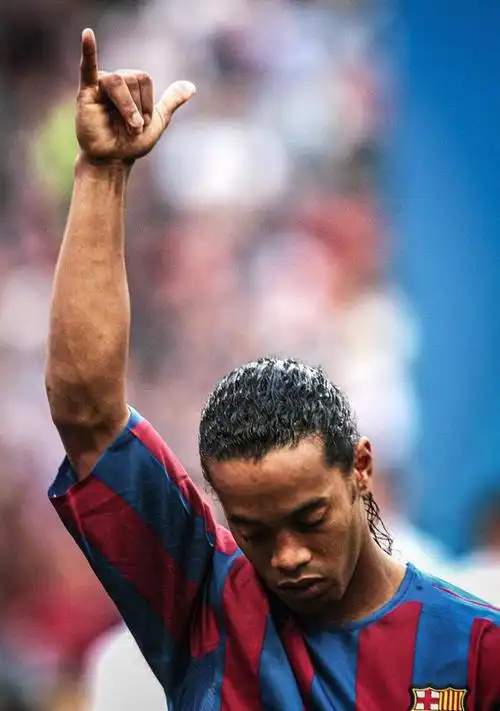 在他的指导 在他的指导